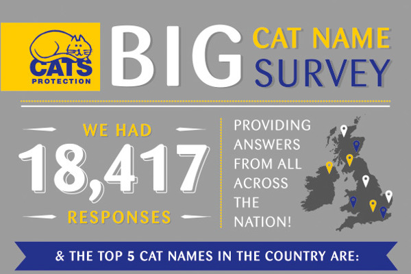 Most popular cat names in the UK revealed – infographic