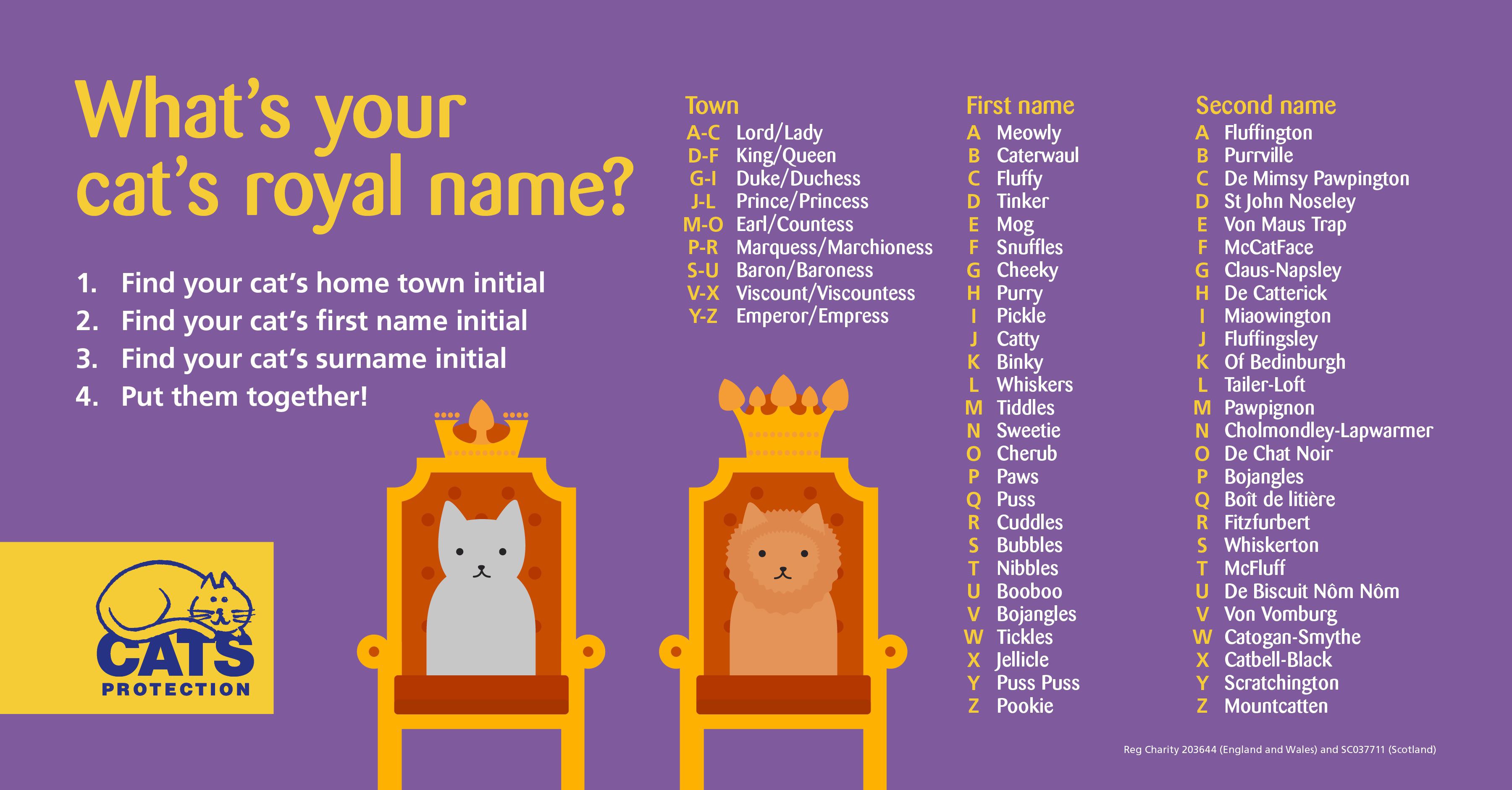 Royal cat name generator graphic