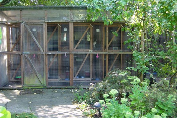 Blog post image