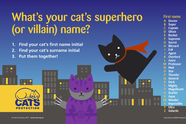 Cat superhero name generator
