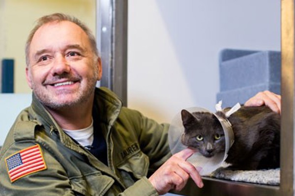 Bob Mortimer helps lonely hearts cats to find homes
