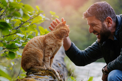 smiling man stroking ginger cat