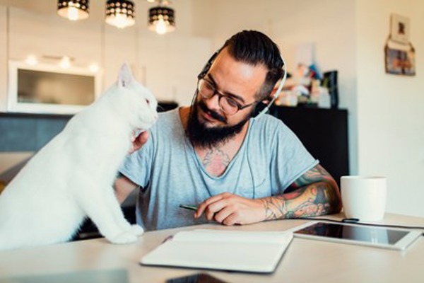 6 reasons why all men should own a cat