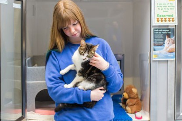 Volunteers’ Week: Become a cat desensitisation volunteer