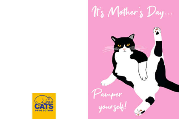 Father s Day Cards For Proud Cat Dads father-s-day-cards-for-proud-cat-dads