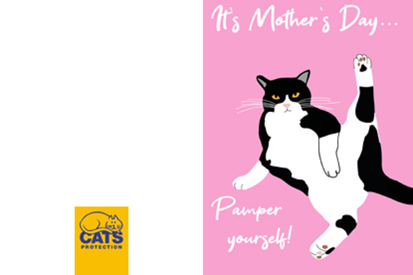 Meowvellous Mother’s Day cards for cat-loving mums