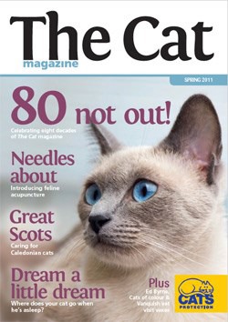 The Cat magazine Spring 2011 issue