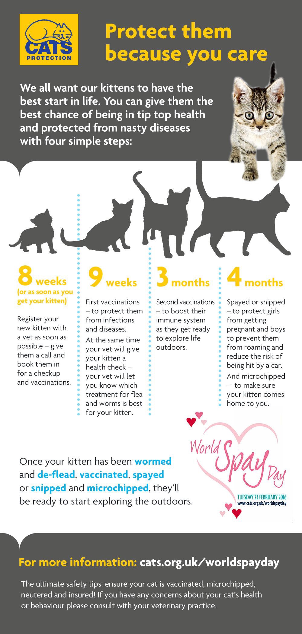 World Spay Day 2016