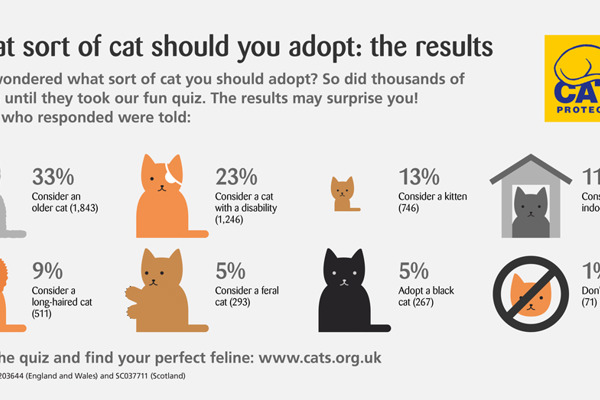 Cat quiz results: What sort of cat should you adopt?