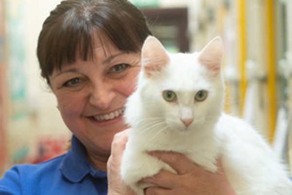 Exeter woman finds dream job – all thanks to her cat
