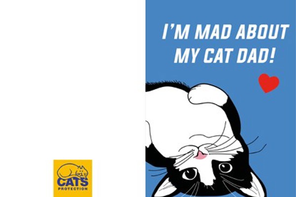 Father’s Day Cards for proud cat dads