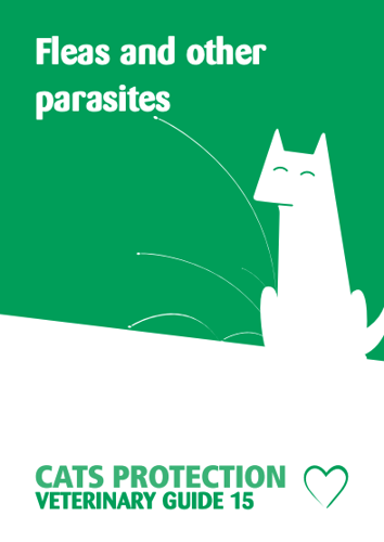 Cats Protection Veterinary Guide: Fleas and other parasites