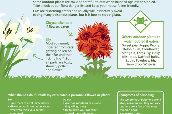 Blog post image