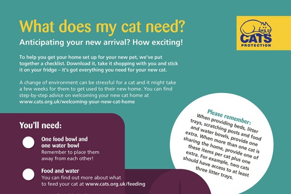 Preparing for your new cat or kitten - checklist