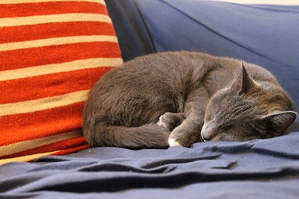 Blog post image