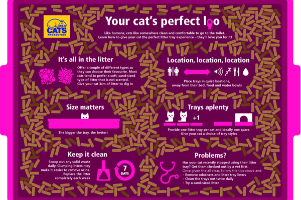 Your cat’s perfect loo