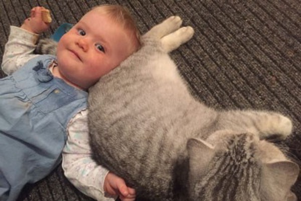 Kids and kitties: Heart-warming stories of cats and babies living happily together