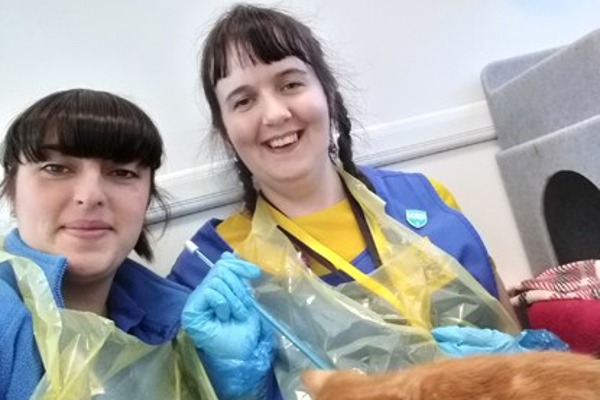 Volunteers’ Week 2019: What’s it like to volunteer for Cats Protection?