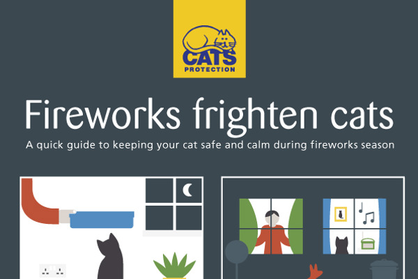 Fireworks frighten cats