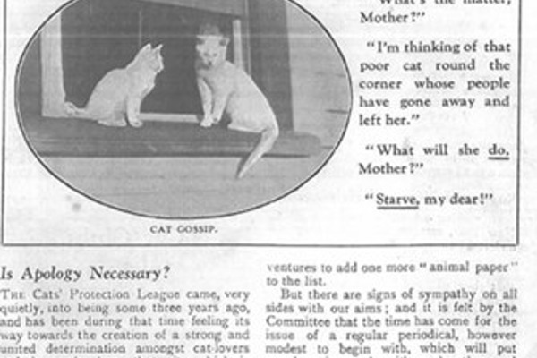 Blog post image