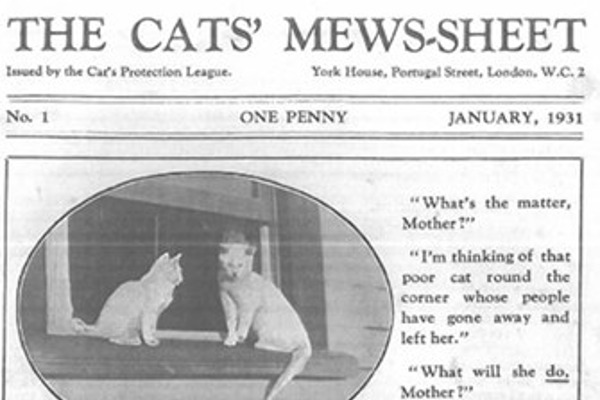 The Cat magazine: speaking up for cats since 1931