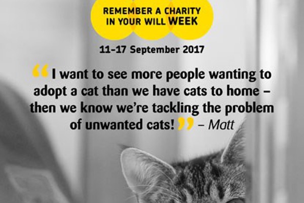Can you help us be there for cats for another 90 years?