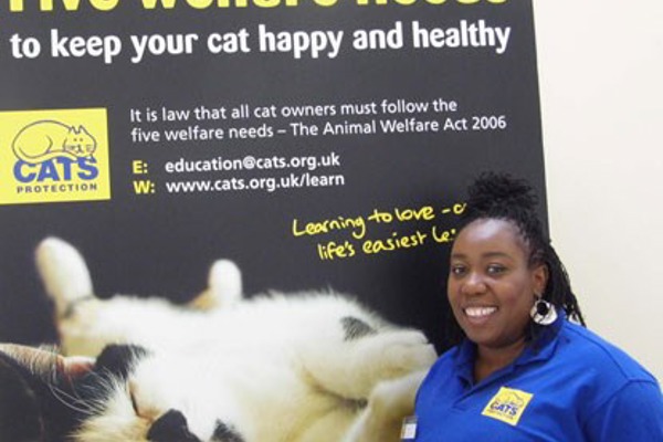 TV star Chizzy gets busy helping unwanted cats