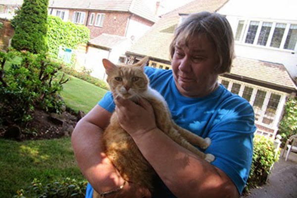Missing cat reunited with owner after 17 months