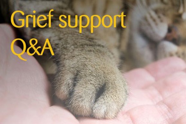 Coping with pet-related grief FAQs – part 1