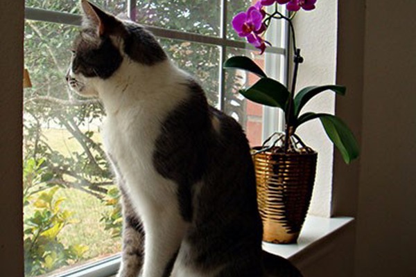 Blog post image