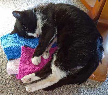 black and white cat lying on knitted blanket