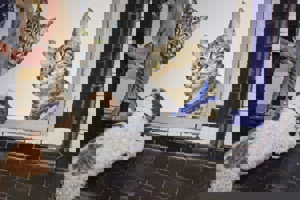 Blog post image