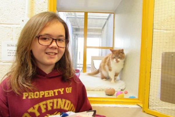 Enterprising schoolgirl gets crafty for the cats