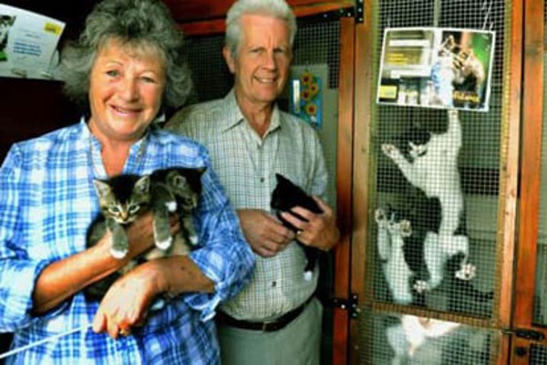 Award-winning Cats Protection volunteer has dedicated 15 years to cat welfare