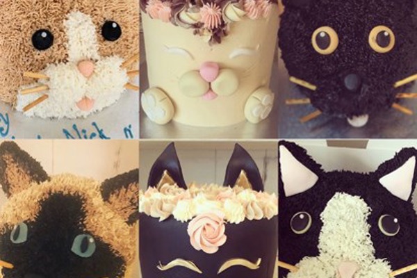 Cat lovers bake a difference for kitties in need with Pawsome Afternoon Tea
