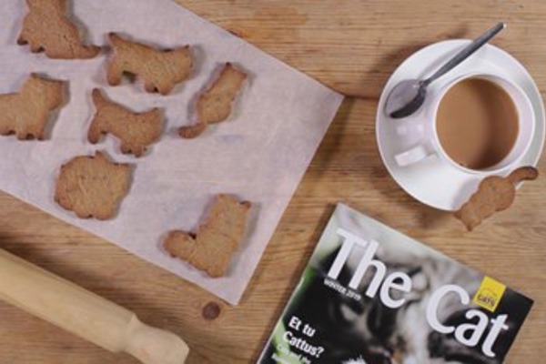 How to make vegan gingerbread cat cookies