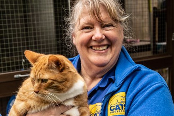Superhero volunteers changing the world for cats