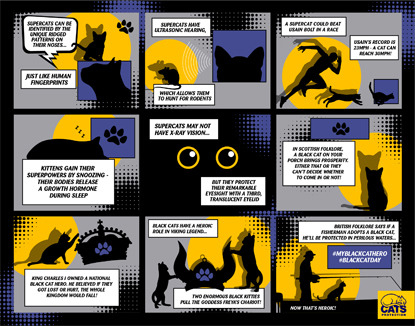 Black Cat Day comic strip