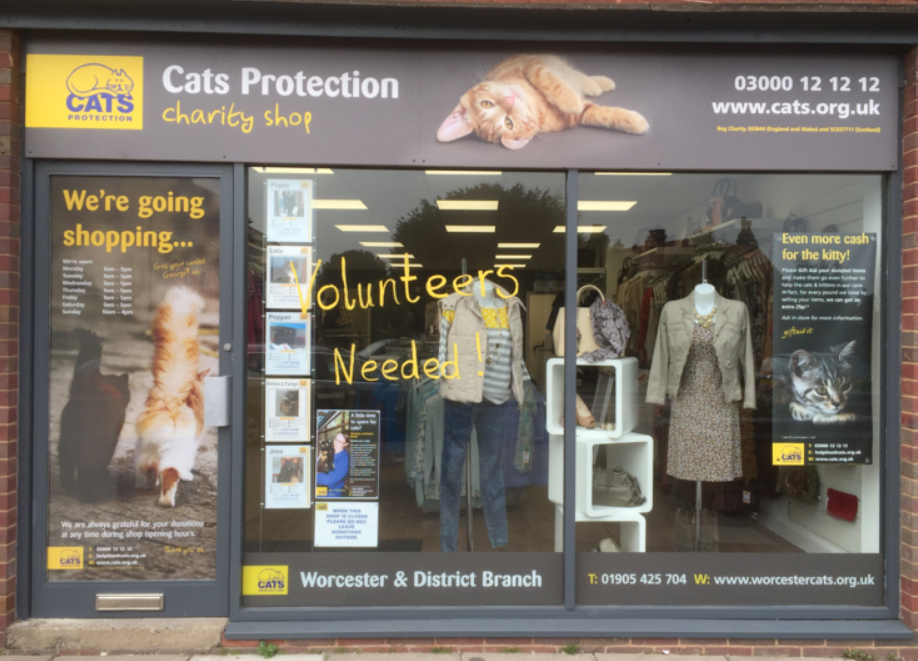Shop Help cats and kittens while you shop Cats Protection