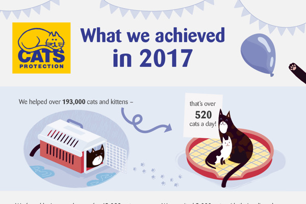 Thank you for helping 193,000 cats in 2017