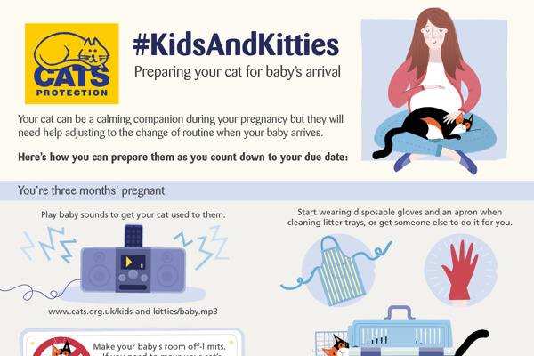 Kids and kitties: How to prepare your cat for your baby’s arrival