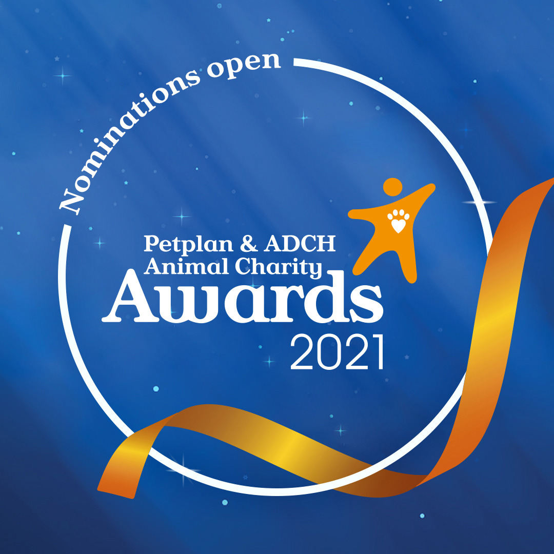 Petplan® and ADCH Animal Charity Awards 2021 Cats Protection