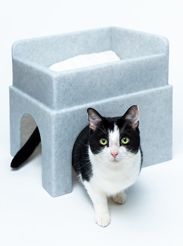 Hide & Sleep® | For vets and nurses | Cats Protection