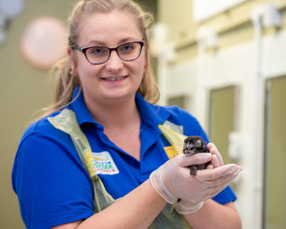 Blonde woman wearing glasses, a blue Cats Protection and People's Postcode Lottery branded t-shirt, plastic apron and gloves holding a newborn tabby kitten