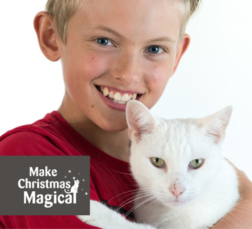 Cats Protection donation page images young boy holding white cat Christmas miracle