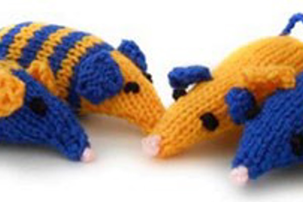 Blog post image