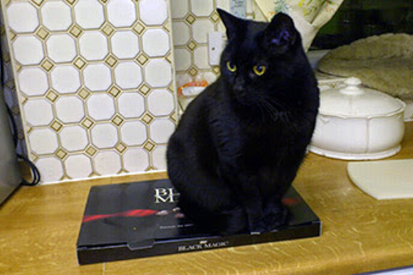 Blog post image