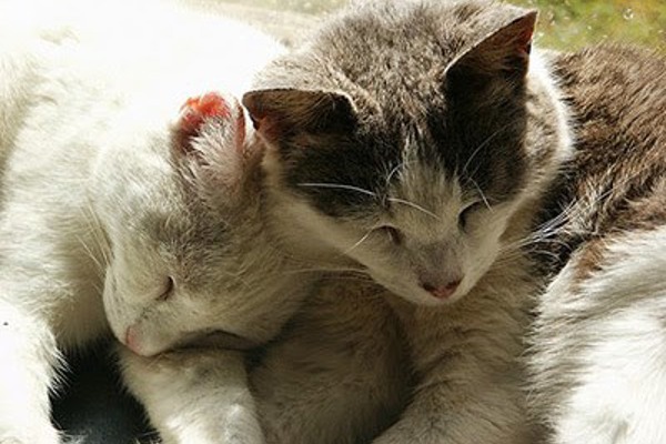 Blog post image