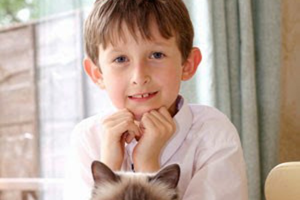 Blog post image