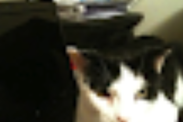 Blog post image